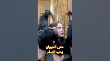 الحب الصادق يأتي حتى من الحيوانات حتى الحيوانات تحب النساء السعودية مصر سوريا صبايا الجزائر 
