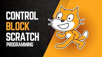 6.Control Block Explained in Scratch Programming - Scratch 3.2 Tutorials in Urdu/Hindi .