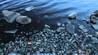The Four Elements - Trailer