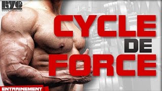 THE STRENGTH CYCLE in BODYBUILDING screenshot 3
