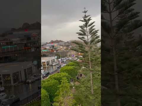 اكتب لها حرف محمد عبده ابهاء عسير