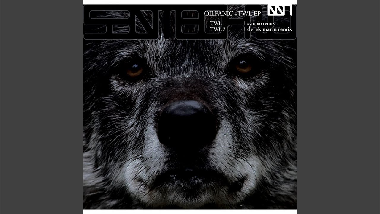 TWL 2 (Derek Marin Remix)