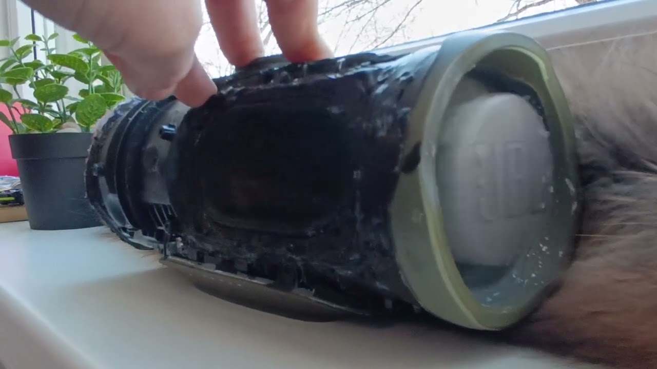 JBL CHARGE4 BASS TEST 