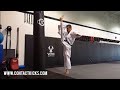 Kyokushin karate kicks