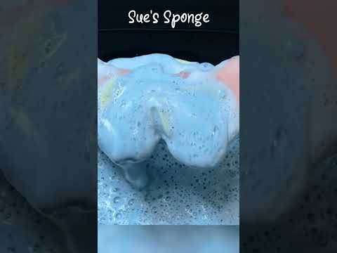 ASMR Boat Sponge x Blue Mixture