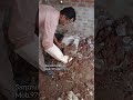 भिलाई में पुराने टॉयलेट सीट को निकालने पर दिखा सांप