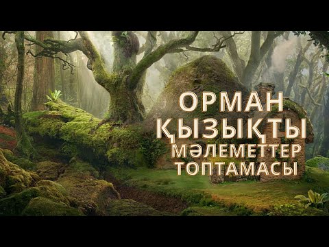 Бейне: Орман дегеніміз не?