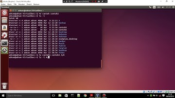 OPERASI FILE DAN STRUKTUR DIREKTORI - SISTEM OPERASI LINUX