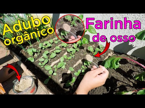 Vídeo: Farinha De Ossos Na Horticultura E Horticultura