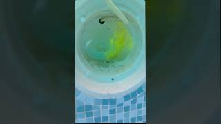 Investigation On A Pool Thats Dropping 1 inch in 24 hours! 🕵‍♂️