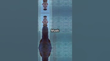 Elon Musk’s xAI Moves Into OpenAI’s Old Headquarters!