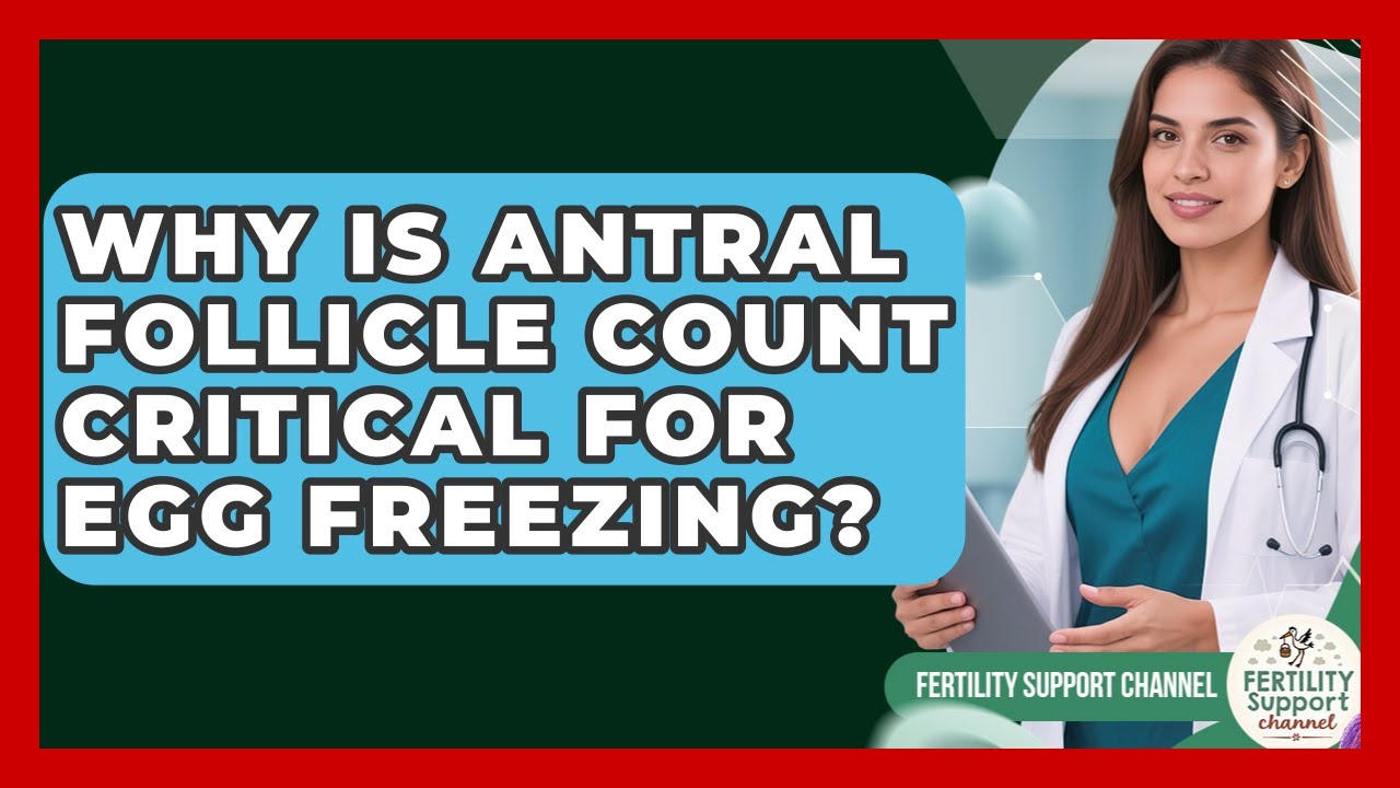 Why Is Antral Follicle Count Critical For Egg Freezing? - Fertility Support Channel