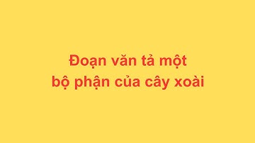 Đoạn văn tả một bộ phận của cây xoài