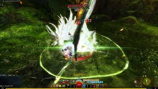 Guild Wars 2 Druid Celestial  Build