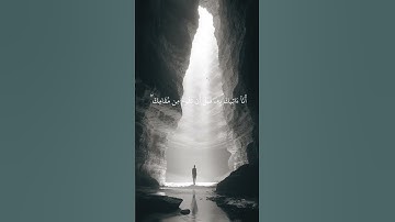 #سورة#النمل #تلاوة_خاشعة #ارح_قلبك #راحة_نفسية #اكتب_شي_تؤجر_عليه #القرآن_الكريم
