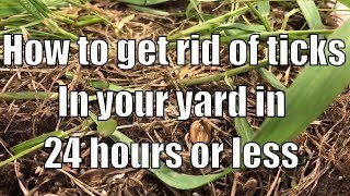 How to get rid of ticks in your yard in 24 hours or less