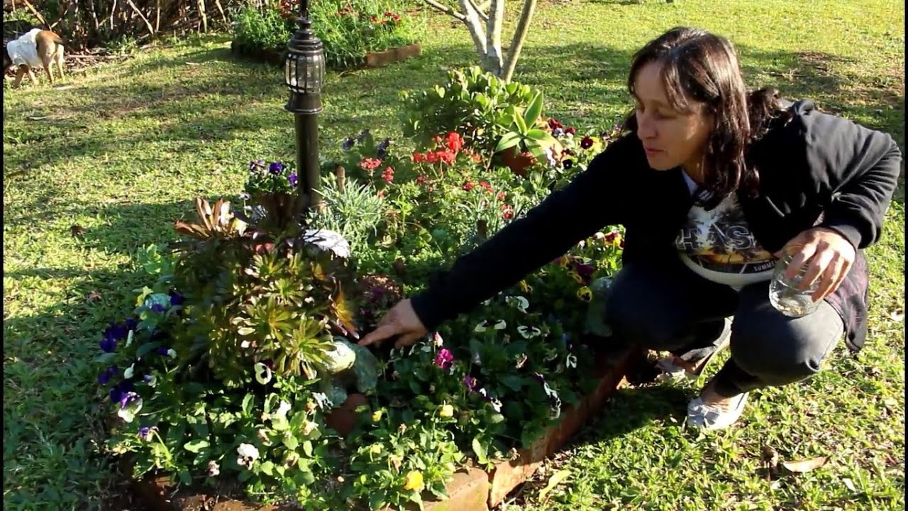 COLETANDO SEMENTES DE AMOR PERFEITO