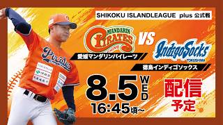 2026年8月5日(水) | 愛媛マンダリンパイレーツvs 徳島インディゴ