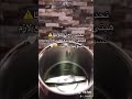 ماسك للجسم بالشمندر
