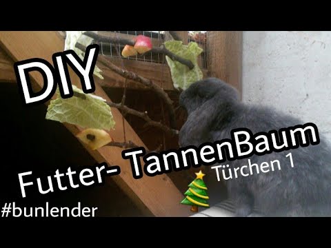 DIY Futter -
