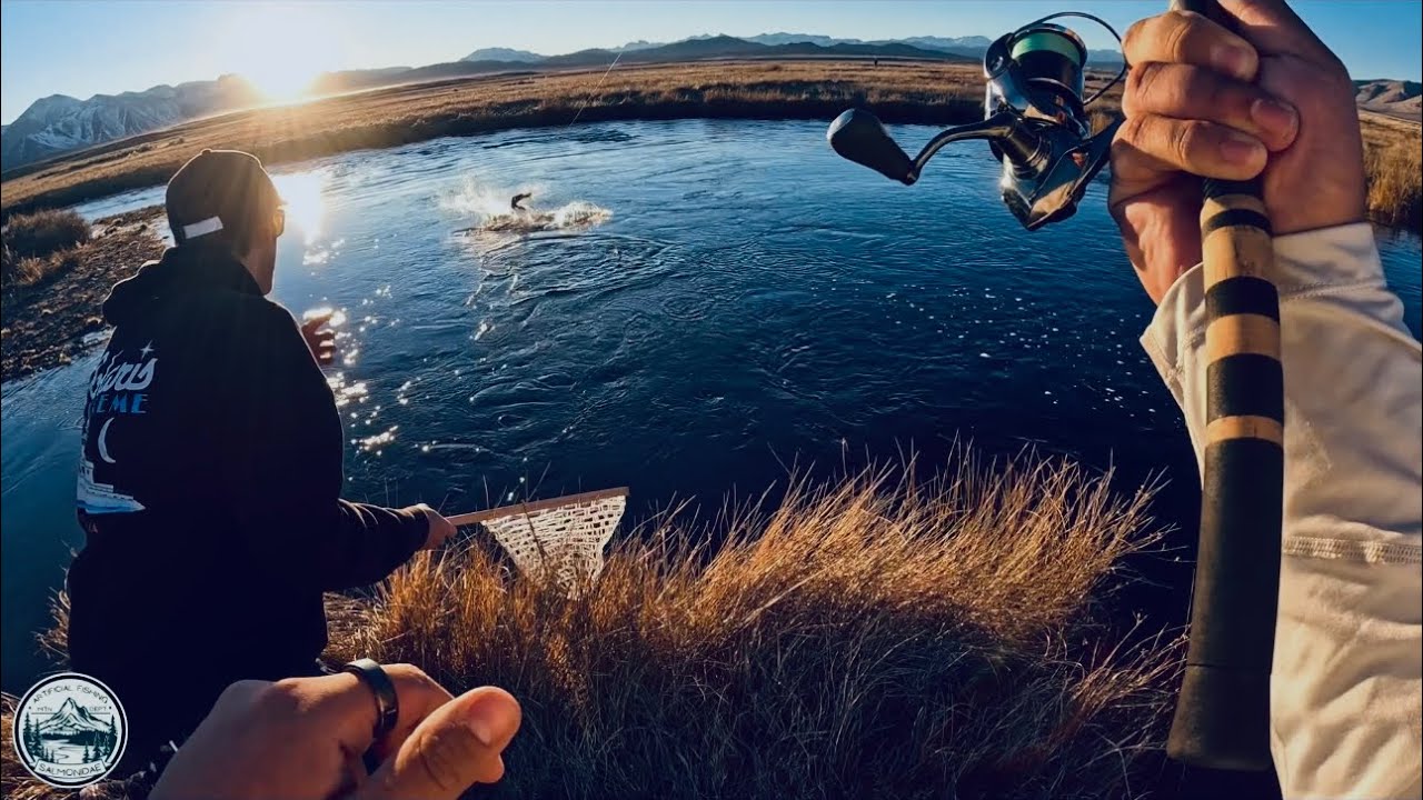 Охота за трофейной форелью в верховьях реки Оуэнс