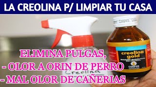 🌺 USES OF CREOLIN to disinfect and clean your house!