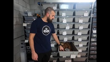 SNAKE RACK REVIEW! 6 months with the ARS 7030 and Reptile Basics VE-6. DO I STILL LOVE THEM?