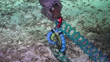Squishy Robot Fingers + 3D Printed Soft Robotics at Sea