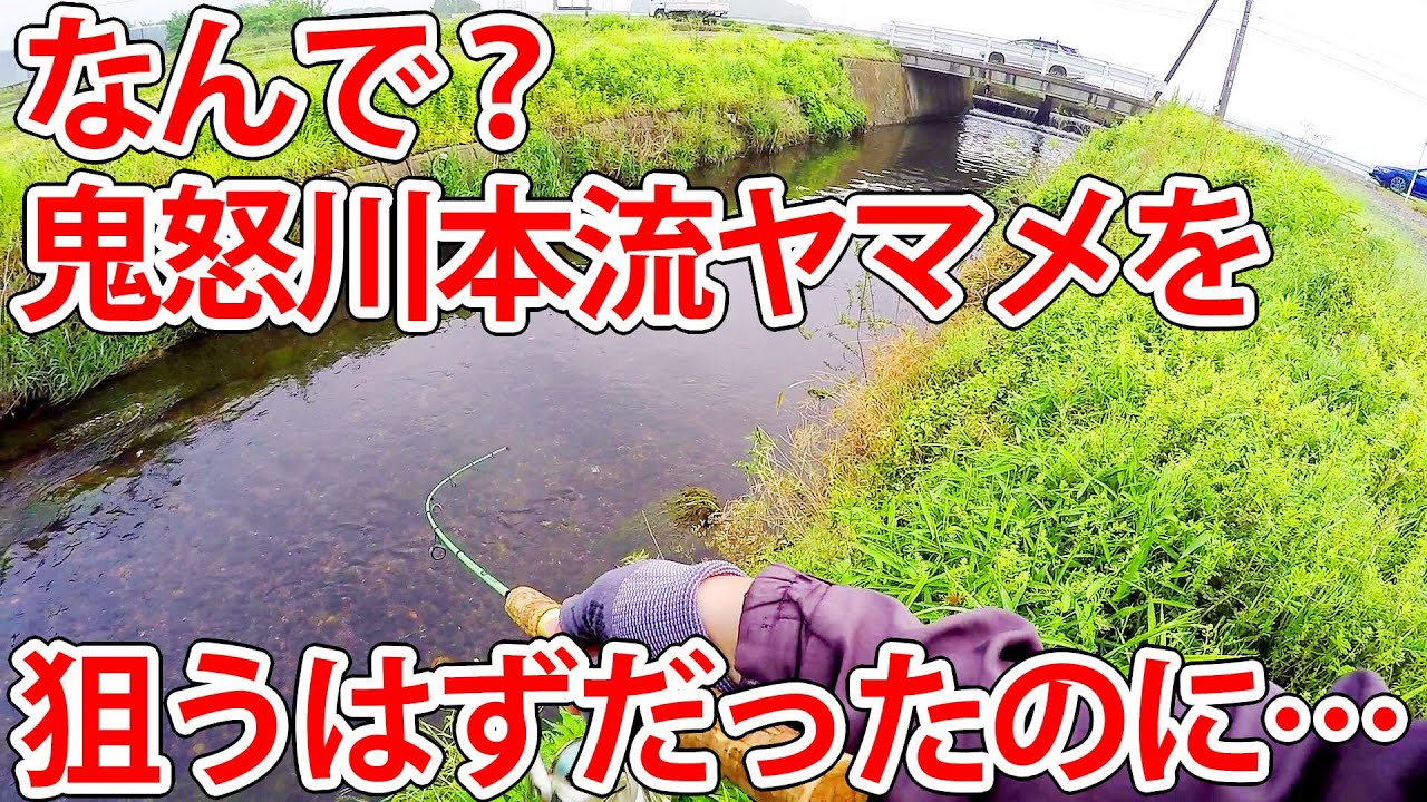 鬼怒川本流ヤマメを狙うはずだったのに…。予想外の展開に