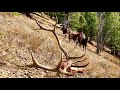 The Six Point Struggle: An Idaho Backcountry Elk Hunting Story - Limitless 72
