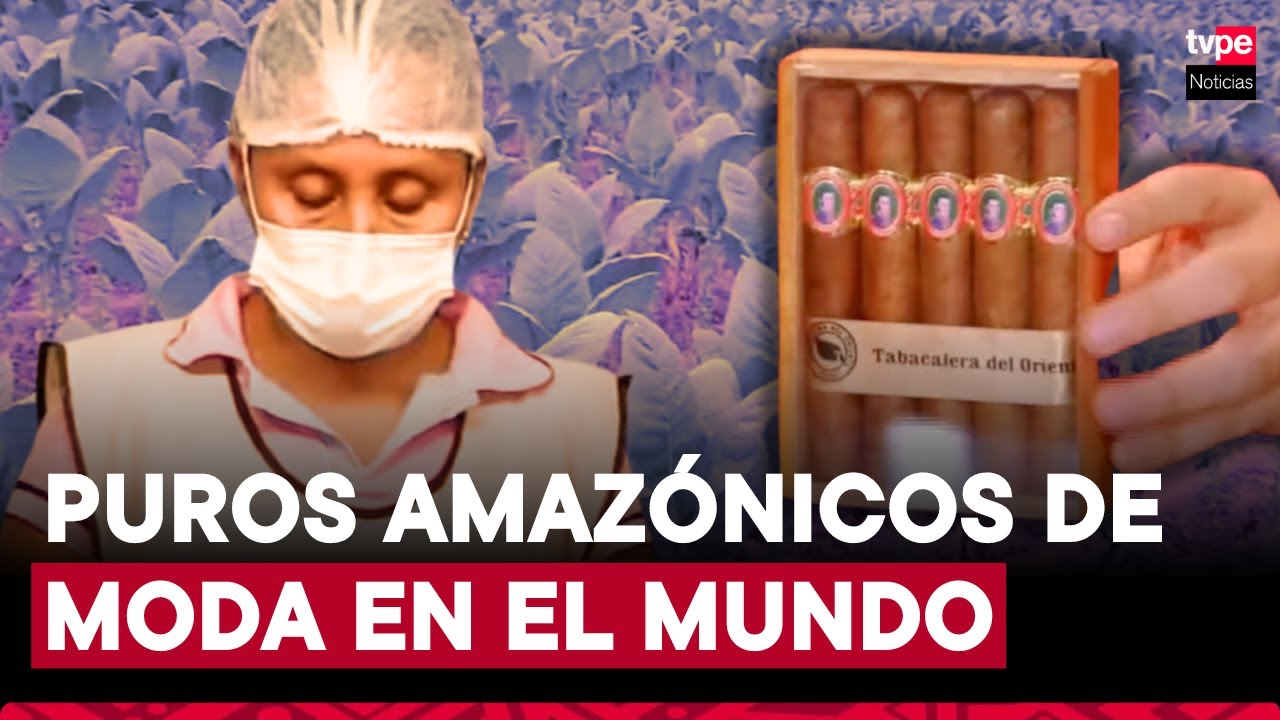 Conoce la única tabacalera en el Perú que produce puros hechos únicamente de la hoja del tabaco