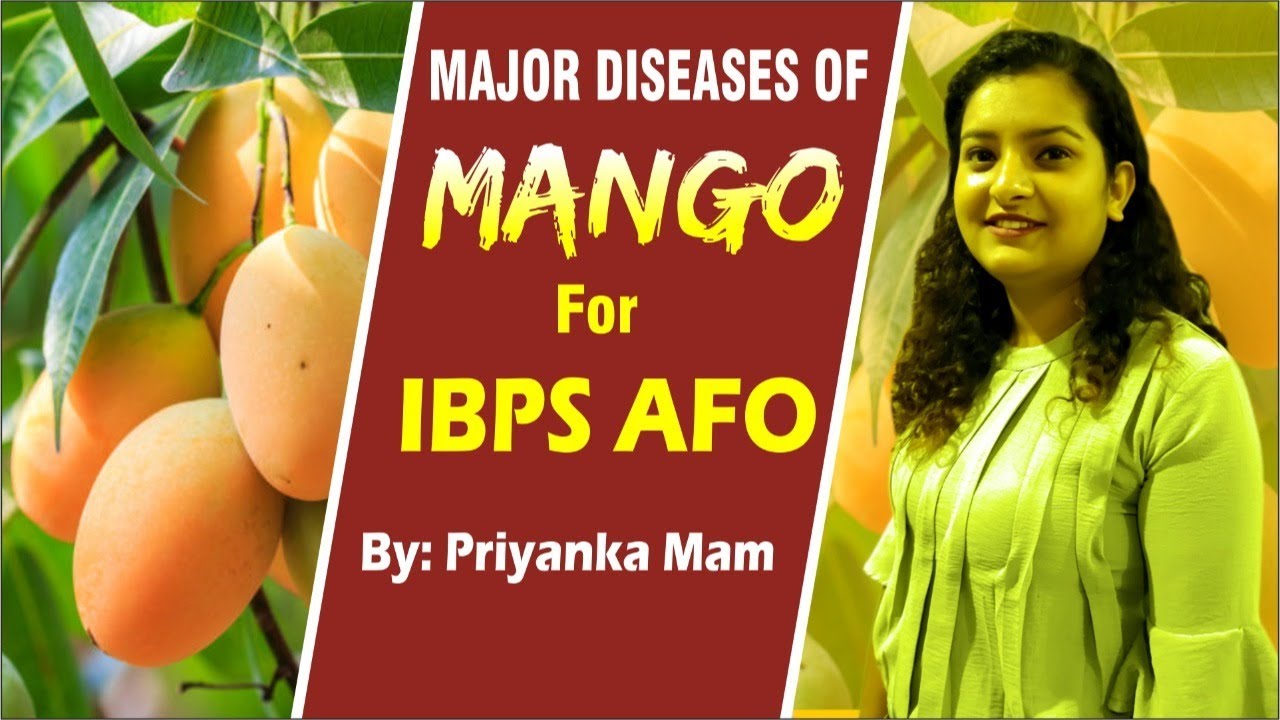 Major Diseases of Mango
