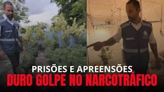 DEPUTADO POUBEL - 🚨 DURO GOLPE NO NARCOTRÁFICO 🚨