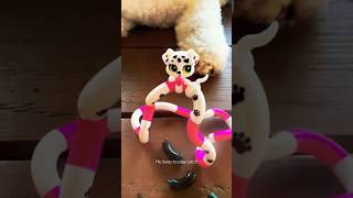 Part 6 | Tangle Pets Puppy #tangletoys #fidgettoys