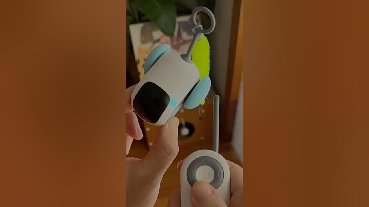 Remote control Toy toys cat cattoys remotecontrol YouTube