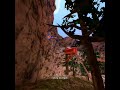 Day 9 of wall running the map #vr #gorillatag