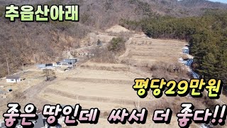 [전속]평당29만원 명산아래 특급토지 #투자가치만땅#양평토지급매물#양평토지