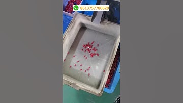 Automatic terminal lug assembly machine