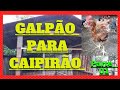 Construção do GALPÃO para Caipirão - parte 01