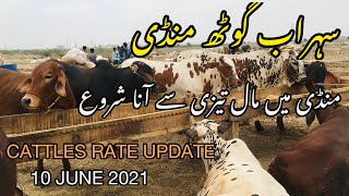 Sohrab Goth Mandi Rates Update | 10 June 2021 | Bakra Eid Season 2021