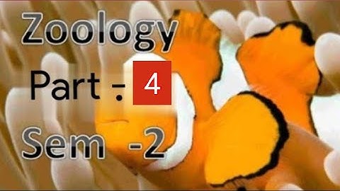 Kerala University BSc Botany previous questions -  ZOOLOGY - Part -  4 ( sem - 2 )