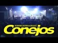 Internacionales Conejos - Concierto Sigue La Fiesta