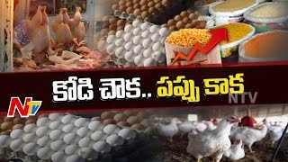 Focus on food essentials Price Rise in Telugu States | Kodi Chowk Pappu Kaka | Part01