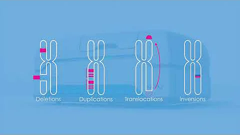 Bionano Workflow and Technology Overview