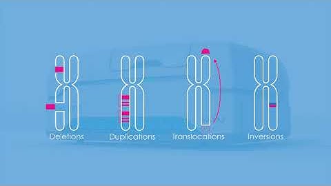 Bionano Workflow and Technology Overview