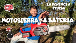 🌳 MOTOSIERRA A BATERIA? 😱🌲 Servirá?