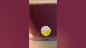 Why Don’t We See Quantum Wave Behavior in Macro? #Shorts