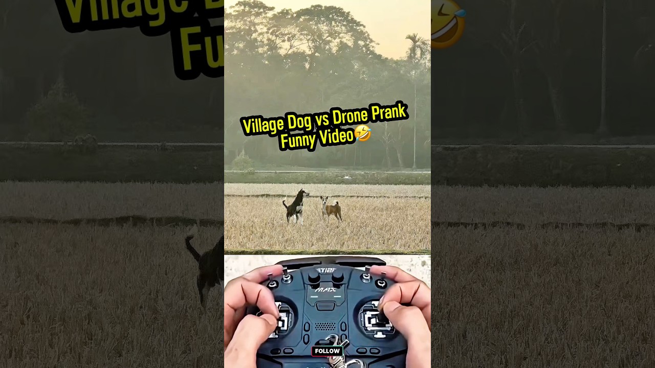 Village Dog Prank 😆 | Funniest Reaction 🐶