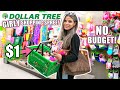 BEST JACKPOT EVER! DOLLAR TREE NO BUDGET SHOPPING SPREE!