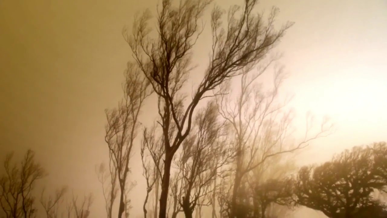 Aprenderás, Carta a un Amigo  William Shakespeare  YouTube